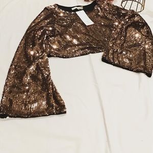 Hot and delicious bronze sequined cropped top